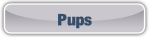 Pups.